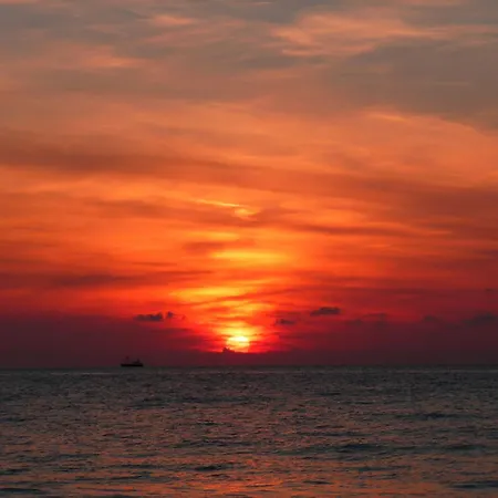 מלון Strandhotel Noordzee דה קוח