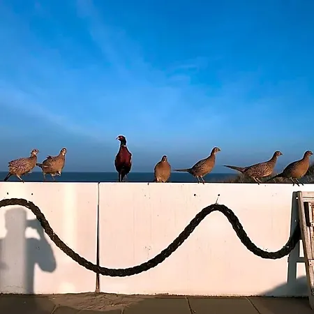Strandhotel Noordzee Hotel 3*
