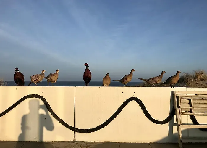 Strandhotel Noordzee Hotel