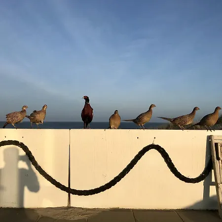 Strandhotel Noordzee Отель
